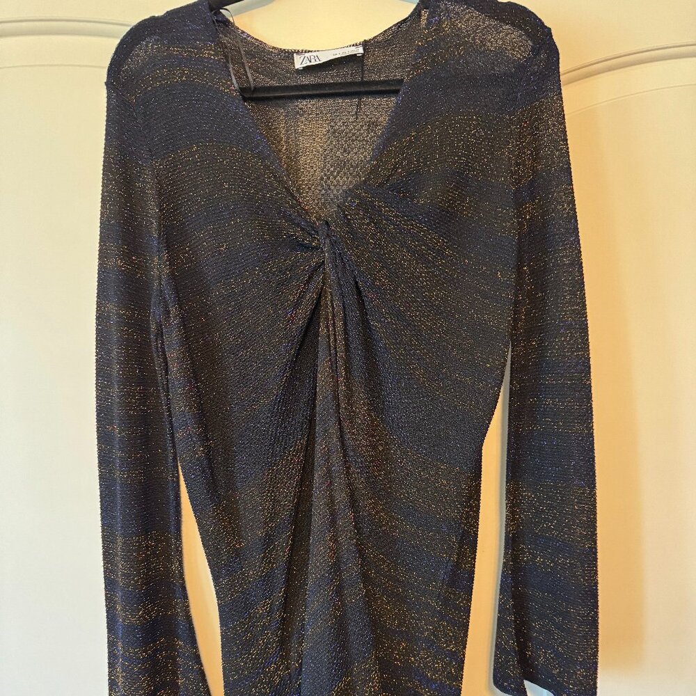 NWT Zara Sheer Dress
